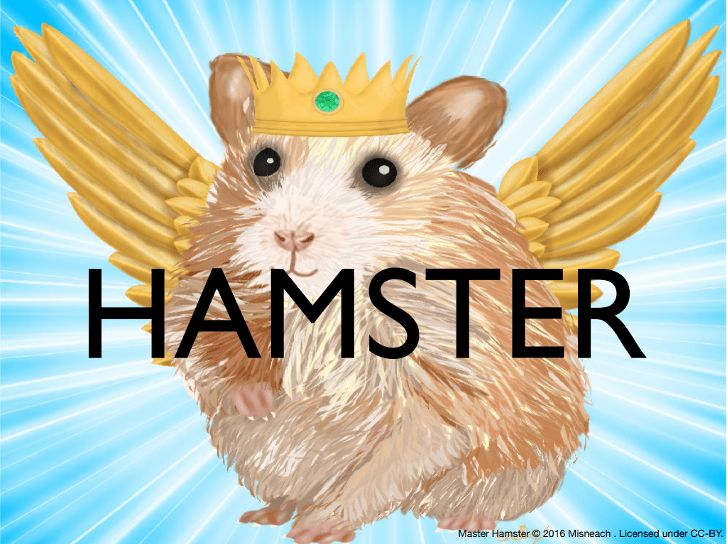 HAMSTER acronym picture